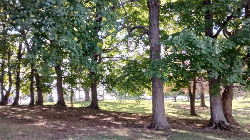 Freeman Lake - Elizabethtown, KY