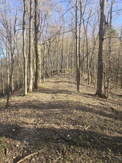 Freeman Lake Running Trails - Elizabethtown, KY