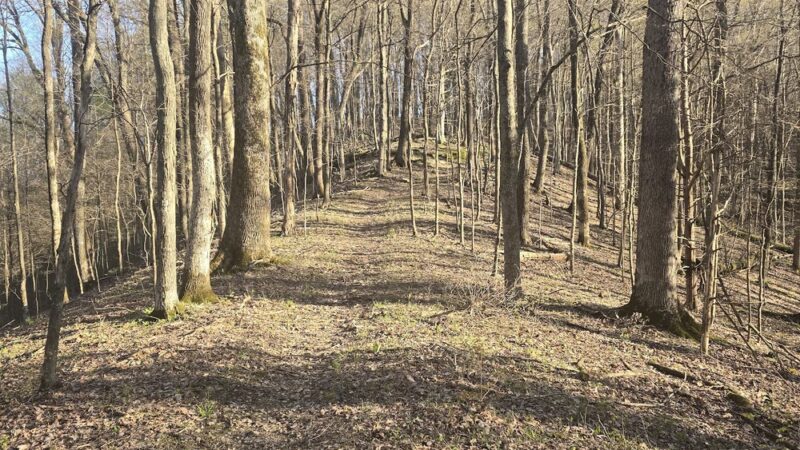 Freeman Lake Running Trails - Elizabethtown, KY