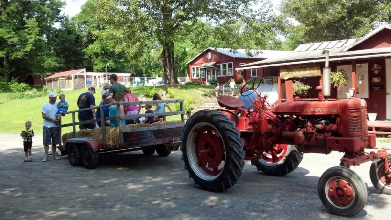 Brook n Wood Family Campground - Elizaville, NY