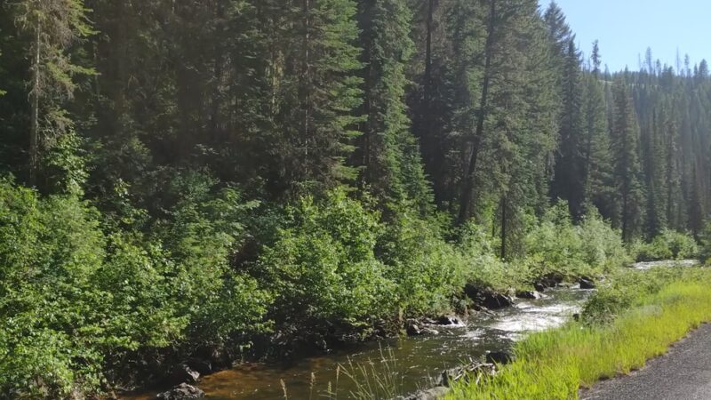 Elk City Ranger District - Elk City, ID