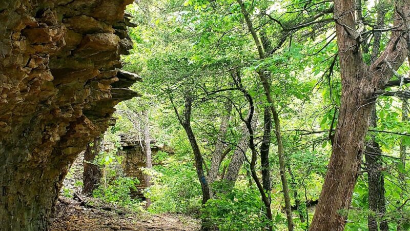 Elk River Hiking Trail - Elk City, KS