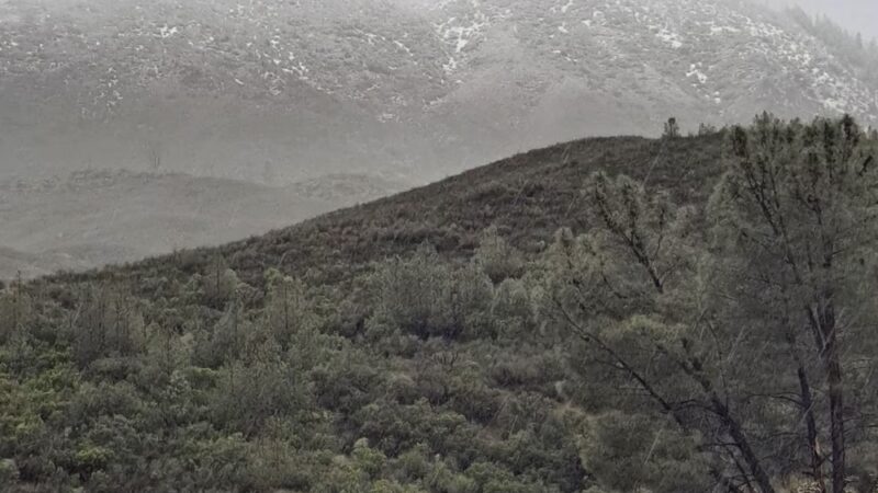 Davis Flat Campground - Elk Creek, CA