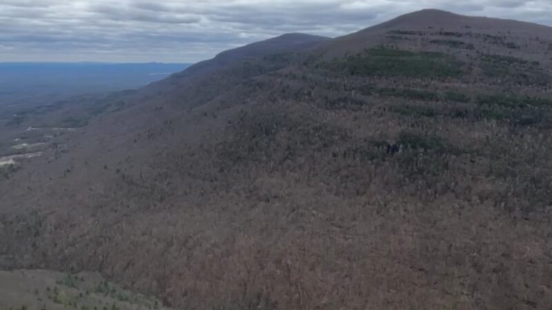 Huckleberry Point - Elka Park, NY
