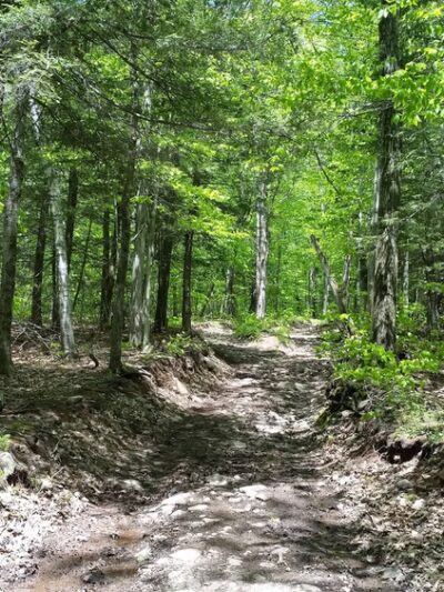 Huckleberry Point - Elka Park, NY