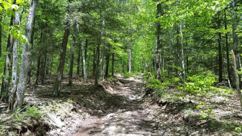 Huckleberry Point - Elka Park, NY