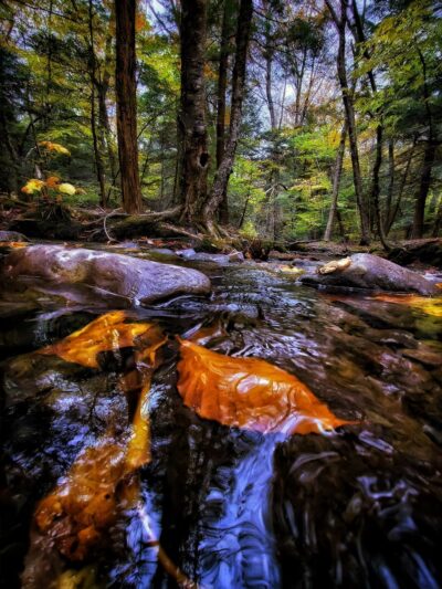 Huckleberry Point - Elka Park, NY
