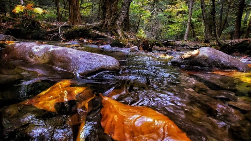 Huckleberry Point - Elka Park, NY
