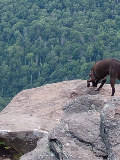 Huckleberry Point - Elka Park, NY