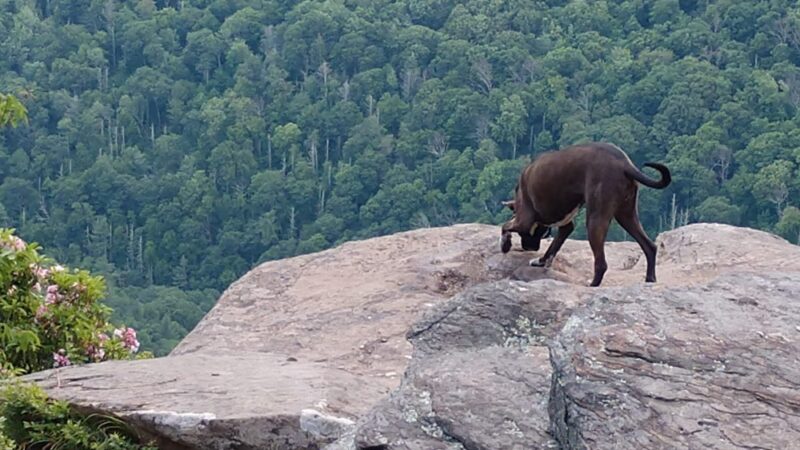 Huckleberry Point - Elka Park, NY