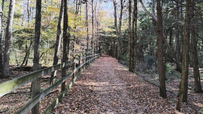 Tannersville Bike Path - Elka Park, NY