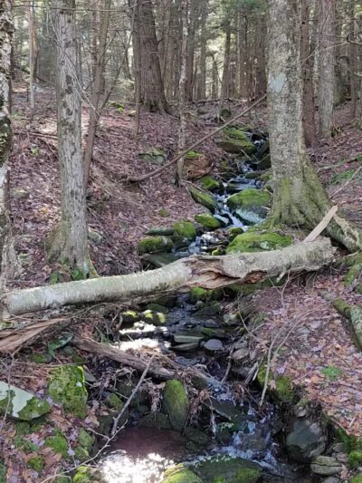 Tannersville Bike Path - Elka Park, NY