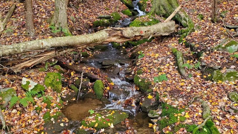 Tannersville Bike Path - Elka Park, NY