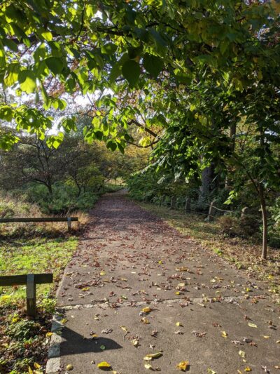 High School Park - Elkins Park, PA