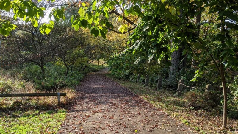 High School Park - Elkins Park, PA