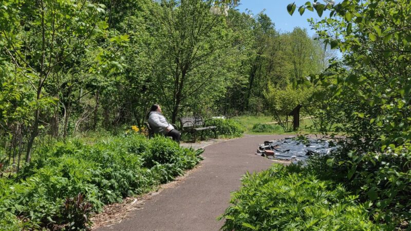 High School Park - Elkins Park, PA