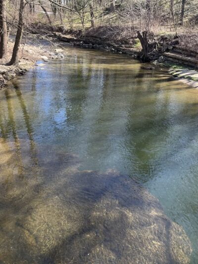 High School Park - Elkins Park, PA