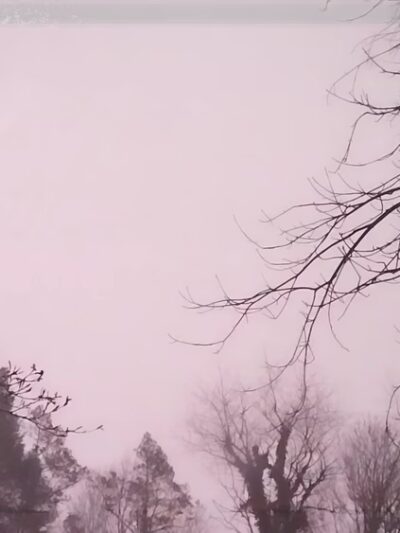 Ogontz Park - Elkins Park, PA