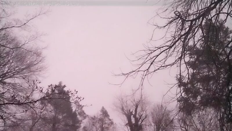 Ogontz Park - Elkins Park, PA