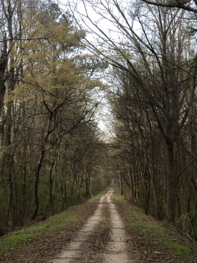 Richard Martin Trail - Elkmont, AL