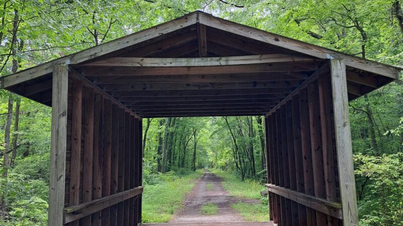Richard Martin Trail - Elkmont, AL
