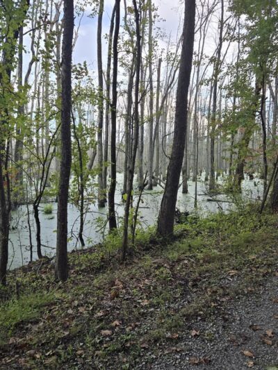 Richard Martin Trail - Elkmont, AL