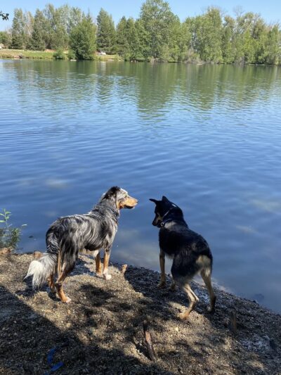 irene reinhart park - Ellensburg, WA