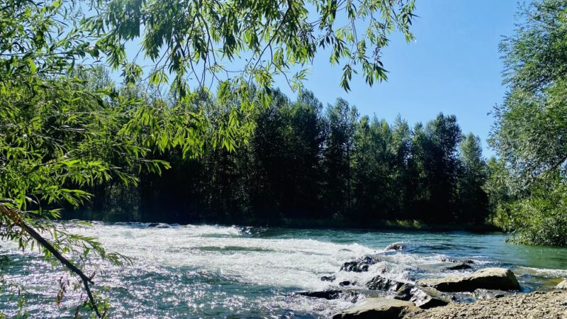 irene reinhart park - Ellensburg, WA