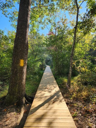 Ellerslie Park - Ellerslie, GA