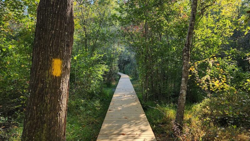 Ellerslie Park - Ellerslie, GA