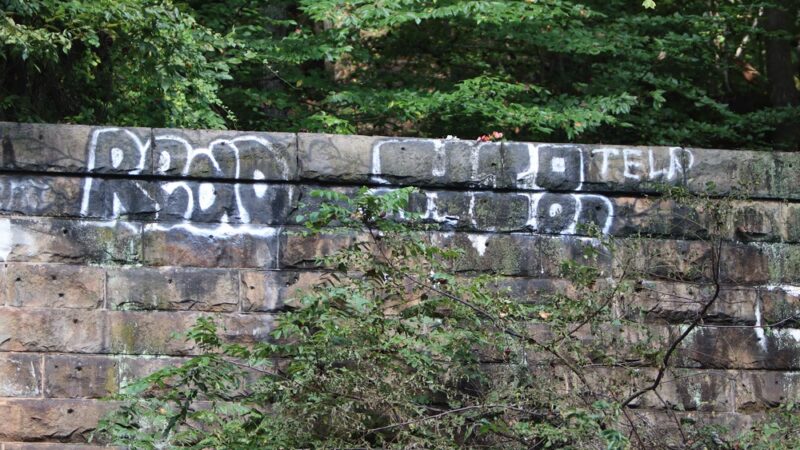 Union Dam Trail - Ellicott City, MD