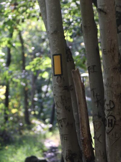 Union Dam Trail - Ellicott City, MD