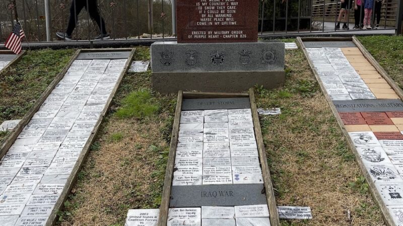 Vets Memorial Park- Ellijay - Ellijay, GA