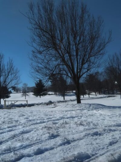 Robert Tedford Memorial Park - Ellington, CT