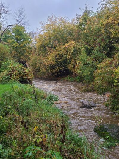 Ellisburg village park - Ellisburg, NY