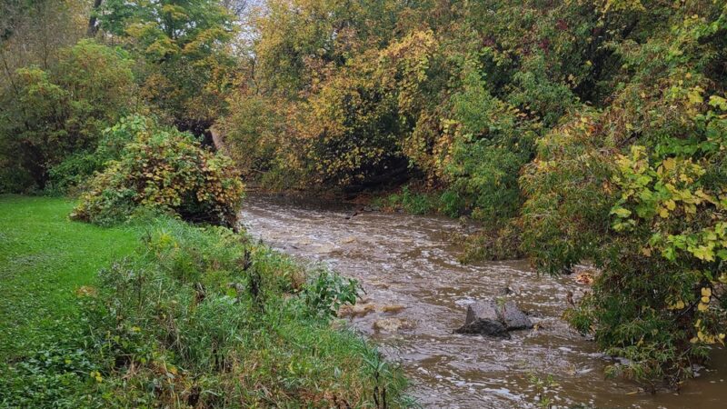 Ellisburg village park - Ellisburg, NY