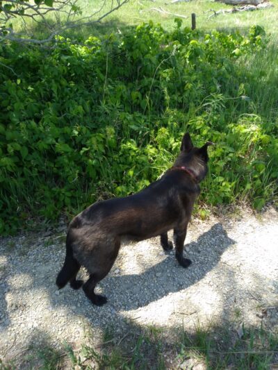 Preisker Park - Ellsworth, KS