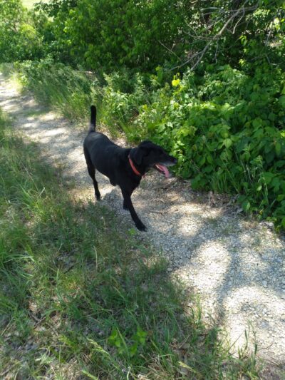 Preisker Park - Ellsworth, KS