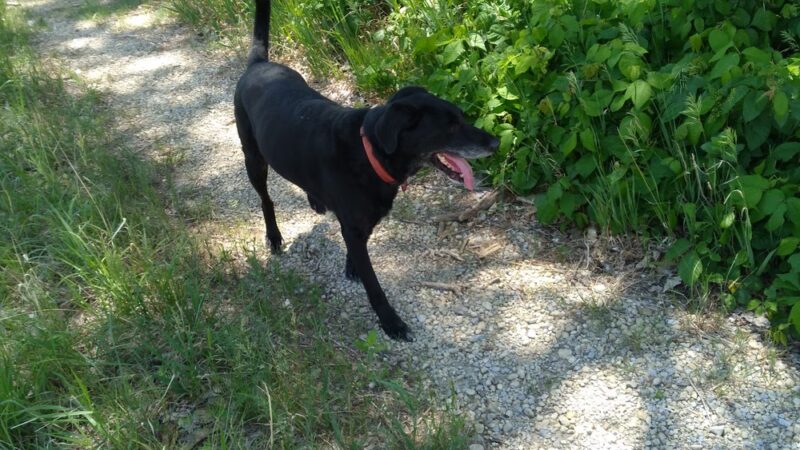 Preisker Park - Ellsworth, KS