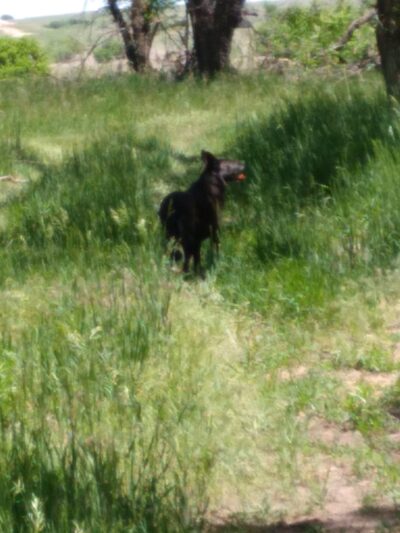 Preisker Park - Ellsworth, KS