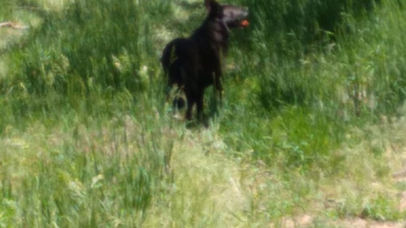 Preisker Park - Ellsworth, KS