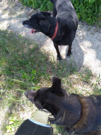 Preisker Park - Ellsworth, KS