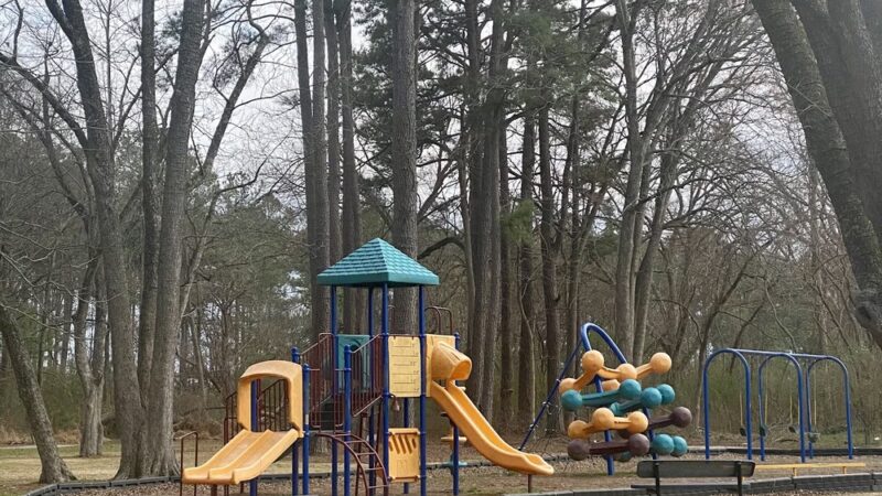 Elm City Playground - Elm City, NC