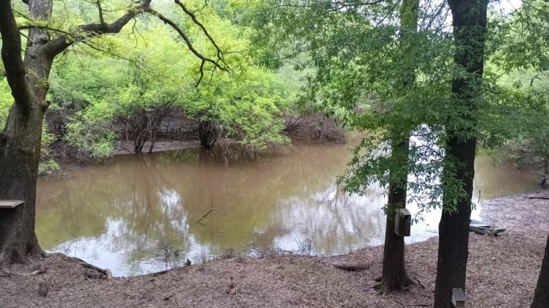 Loggy bayou camp ground - Elm Grove, LA
