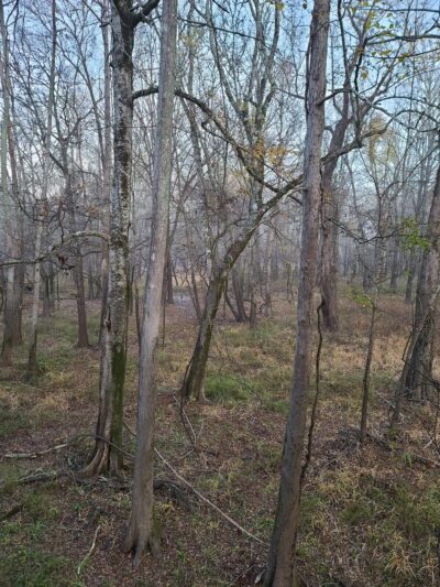 Loggy bayou camp ground - Elm Grove, LA