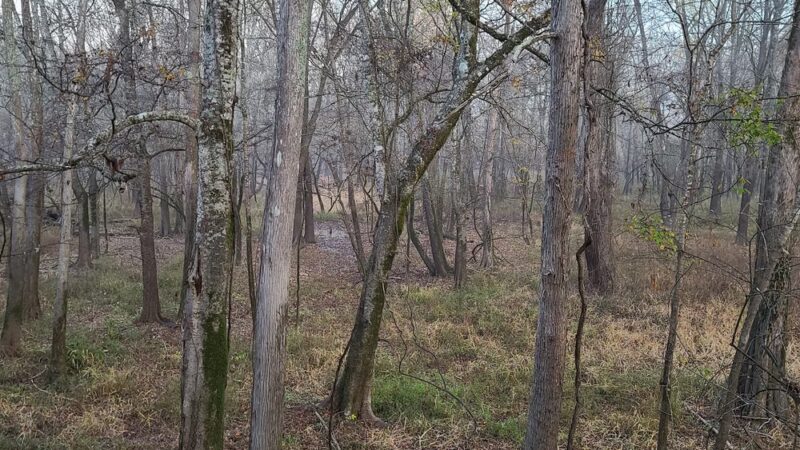 Loggy bayou camp ground - Elm Grove, LA