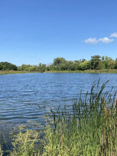 Elm Grove Village Park - Elm Grove, WI