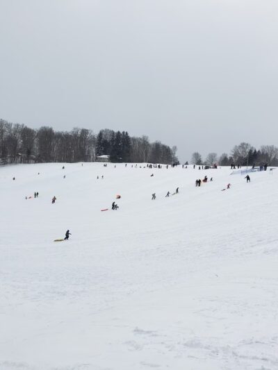 Elma Meadows Park - Elma, NY