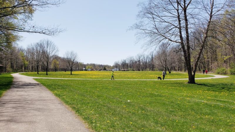 Village Green Park - Elma, NY