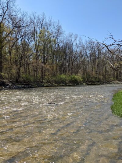 Village Green Park - Elma, NY
